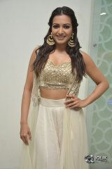 Catherine Tresa At Goutham Nanda Movie Success Meet